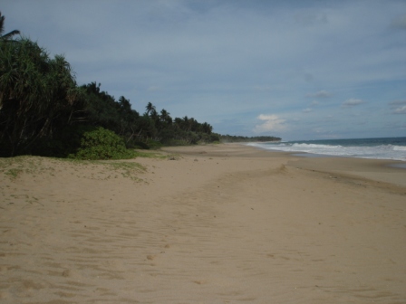 Rakawa Beachfront land for sale/rent